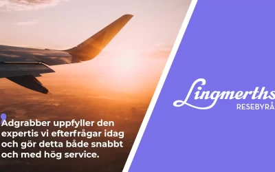 Hur Lingmerths Resebyrås förfrågningar ökade med 183%